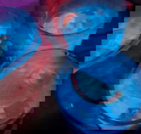 Humming Bird Dutch Cakes - Accommodation BNB