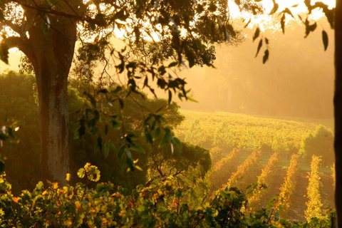 Deep Woods Estate - Accommodation BNB 1