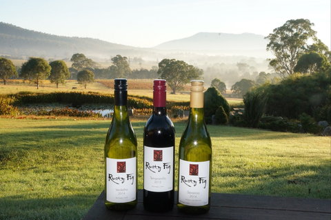 Rusty Fig Wines - Accommodation BNB 0