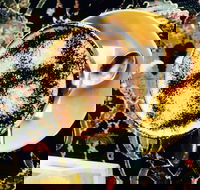 Cafe 3847 - Accommodation BNB