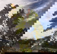 Banca Ridge Cellar Door and Vineyard - Accommodation BNB