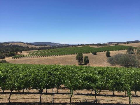 Peerick Vineyard And Winery - Accommodation BNB 0