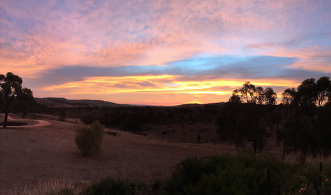 Peerick Vineyard And Winery - Accommodation BNB 1