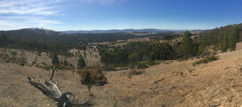 Peerick Vineyard And Winery - Accommodation BNB 2