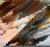 Captain Roc's - Accommodation BNB