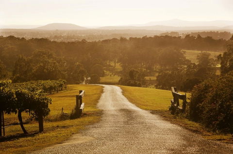 Petersons Wines - Accommodation BNB 0