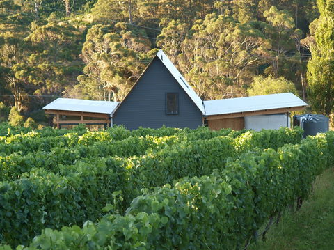 Two Bud Spur Vineyard - Accommodation BNB 0