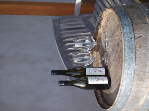 Two Bud Spur Vineyard - Accommodation BNB 1