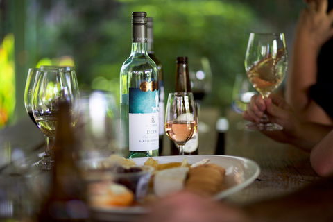 De Bortoli Wines Bilbul - Accommodation BNB 0