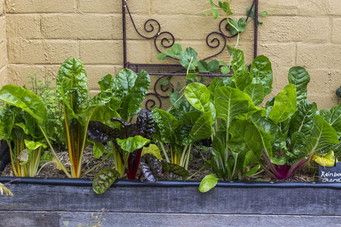 A Bite To Eat - Accommodation BNB 1