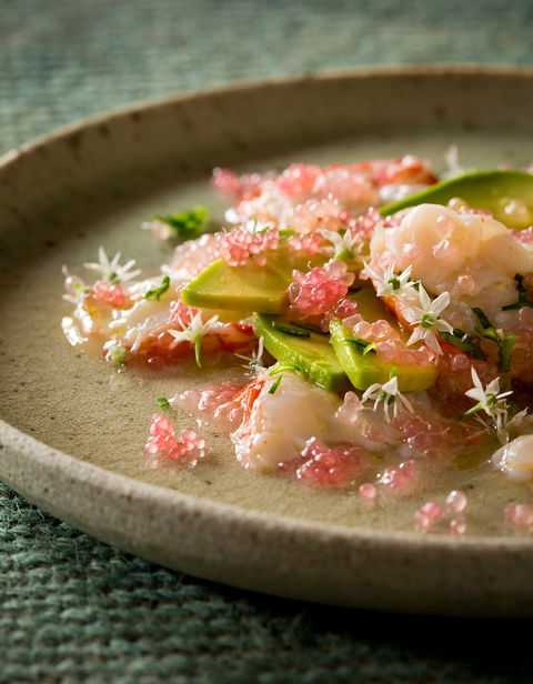 Foragers - Accommodation BNB 0