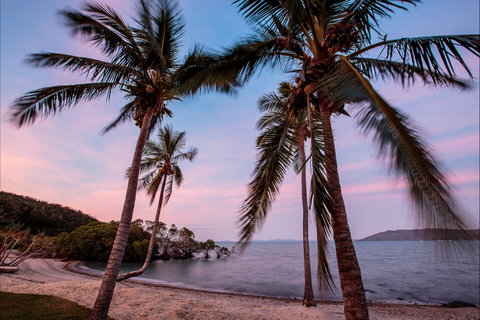 Northerlies Beach Bar And Grill - Accommodation BNB 1