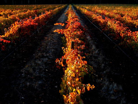 Sandhurst Ridge - Accommodation BNB 0