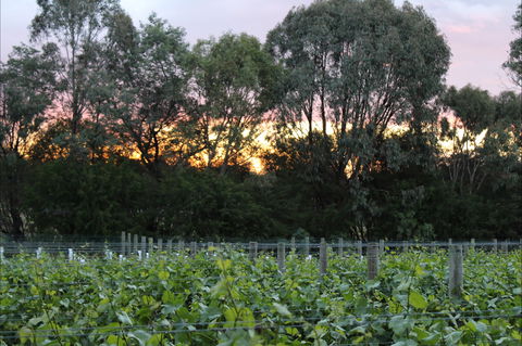 Haldon Estate Wines - Accommodation BNB 2