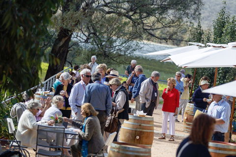 Sanguine Estate - Accommodation BNB 1