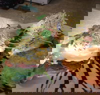 Cafe in the Mountains - Accommodation BNB