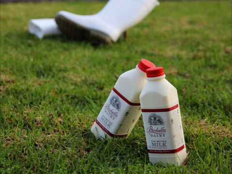 Bodalla Dairy - Cheese, Milk And Ice Cream Factory And Cafe - Accommodation BNB 0