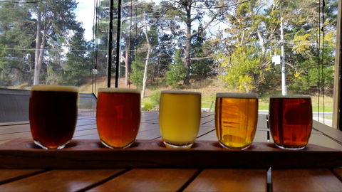 Cubby Haus Brewing - Brewery And Bar - Accommodation BNB 1