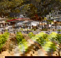 False Cape Wines Cellar Door - Accommodation BNB