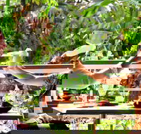 Jaques Coffee Plantation - Accommodation BNB