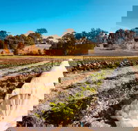 Synchronicity Farm - Accommodation BNB