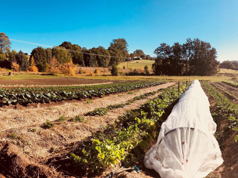Synchronicity Farm - Accommodation BNB 0