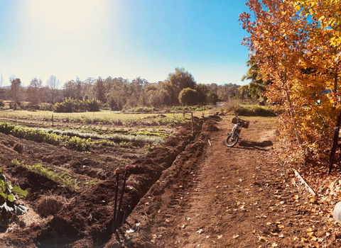 Synchronicity Farm - Accommodation BNB 1