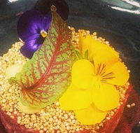 The Shack Cafe - Accommodation BNB