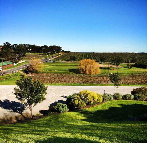 Little Olive Leaf Cafe - Accommodation BNB 14