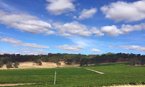 Ricco's Burgers & Coffee - Accommodation BNB 11