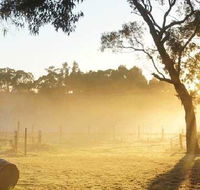 Spot Pea - Accommodation BNB