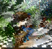 Rivulet Cafe - Accommodation BNB