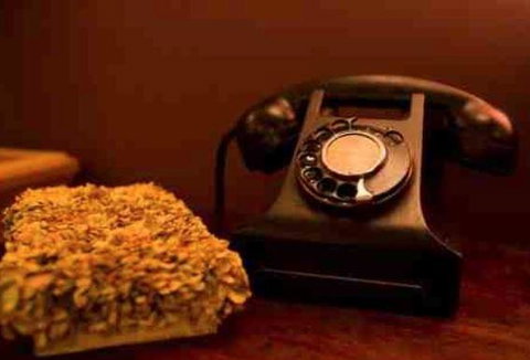 Avalon Katoomba - Accommodation BNB 17