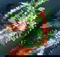 Little Red Providore - Accommodation BNB