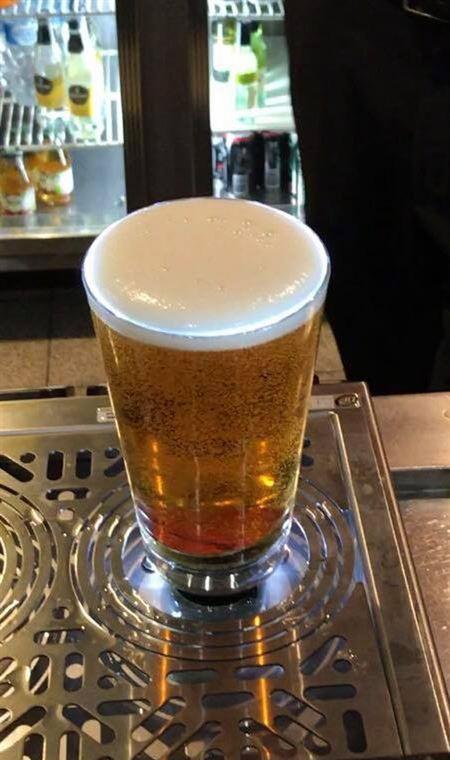 Diggers By The Park Brasserie - Accommodation BNB 4