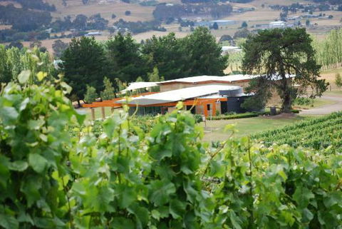 Home Hill Winery Restaurant - Accommodation BNB 12
