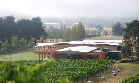 Home Hill Winery Restaurant - Accommodation BNB 11