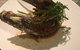 Char Restaurant - thumb 12