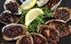 Oyster Bar Darwin - thumb 2