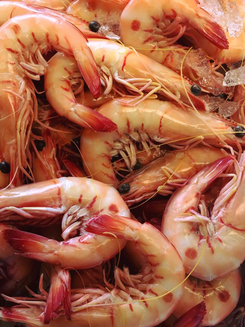 Fraser Shores Seafood - Accommodation BNB 4