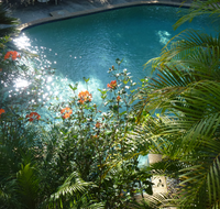 Avoca Beach Hotel - Accommodation BNB