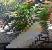 The Garden Plate - Accommodation BNB