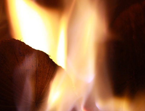 BD’s Woodfired Pizza & Pasta - Accommodation BNB 1