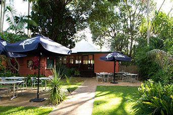 Maleny Hotel - Accommodation BNB 1