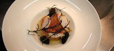 The Peak Restaurant At Spicers Peak Lodge - Accommodation BNB 1