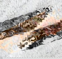 Stefano Lubiana Wines - Accommodation BNB