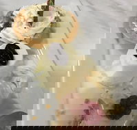 The Archie Secret Cafe - Accommodation BNB