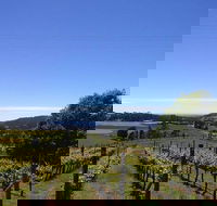 Barringwood Vineyard and Cellar Door Restaurant - Accommodation BNB