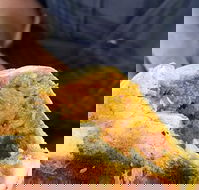 Brighton's Best Bakehouse - Accommodation BNB