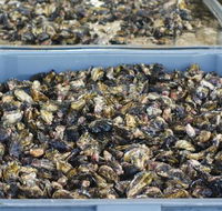 Lease 65 - Accommodation BNB